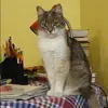 Отзыв от Эльмира Алексеева